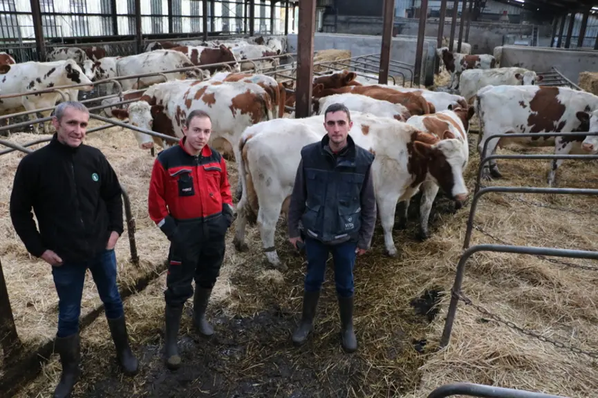 Frédéric (à gauche) et Damien Tijs (à droite), éleveurs. « Notre passage au bio ne chamboulera pas notre système mais c’est un nouveau défi. » © E. Bi