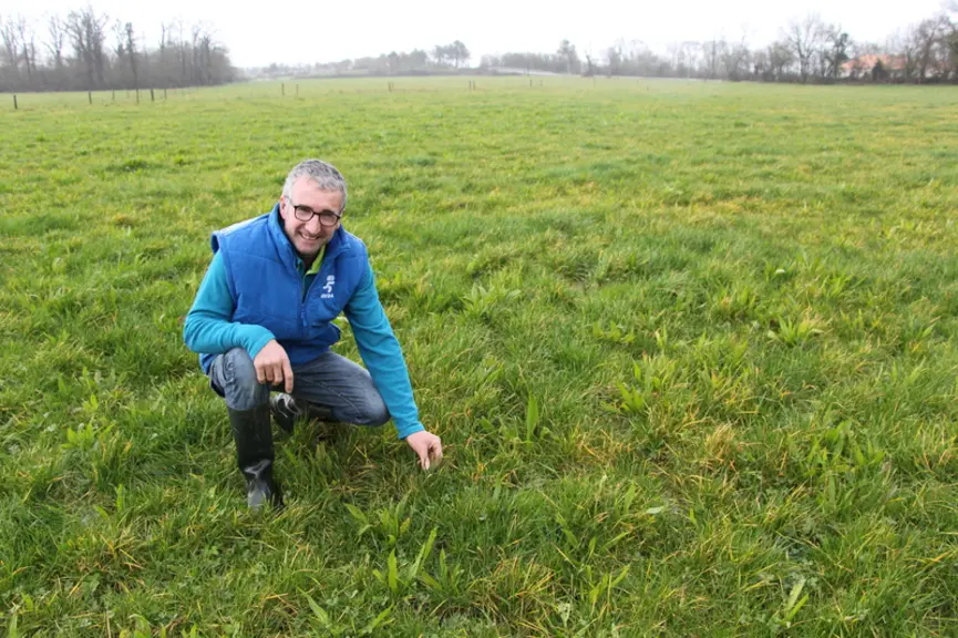 « La réussite passe pour nous par le pâturage tournant dynamique et par le choix des meilleures espèces et variétés, estime Louis-Marie Fioleau. Le gr