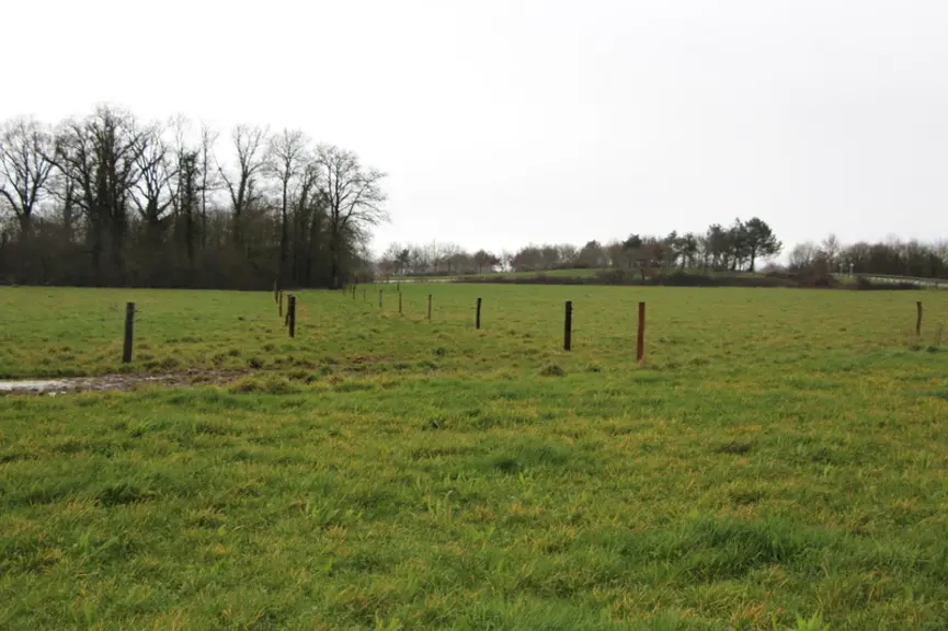Les éleveurs ont fait le choix d’un pâturage tournant dynamique en système couloir. La taille des paddocks attribués pour 12 heures est adaptée chaque