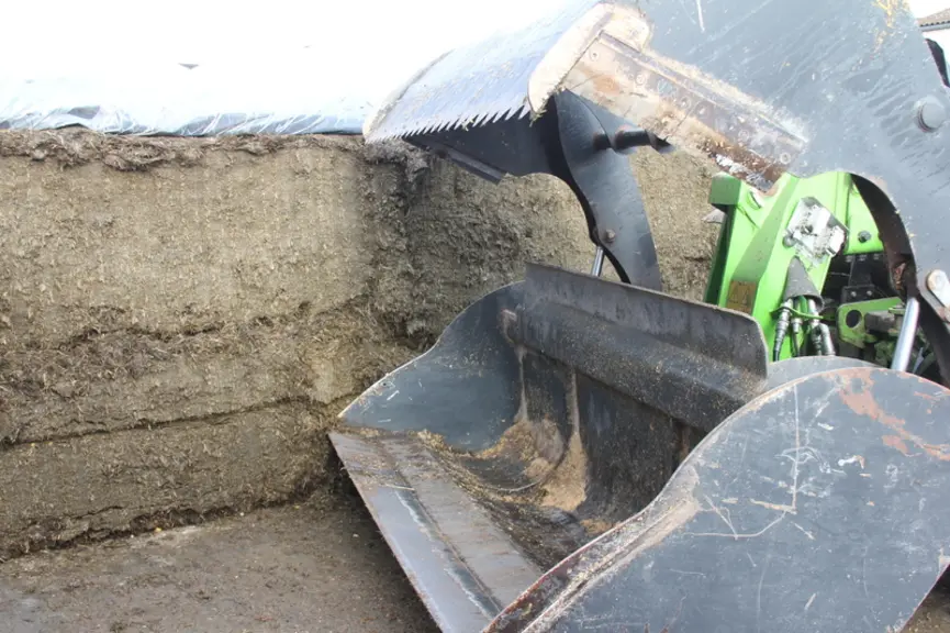 L’emploi d’un godet désileur trancheur pour reprendre l’ensilage au silo assure une découpe franche du front d’attaque. © F. Mechekour