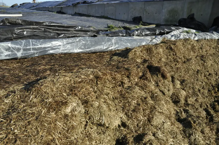 Un film sous couche de 40 microns, sous la bâche noire, permet de renforcer l’étanchéité des silos d’herbe et de maïs. Un gain de temps (moins de sacs de sables à poser) et une meilleure conservation. © B. Griffoul