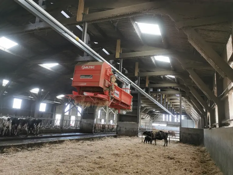 Avec la pailleuse supsendue, la distribution est plus homogène, ce qui nous permet d’économiser environ 25 % de paille. © C. Armager