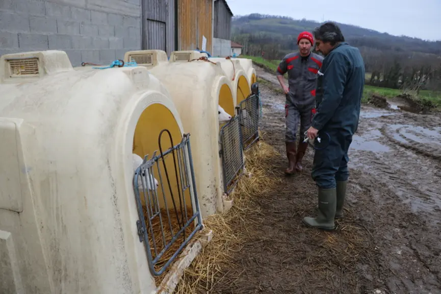 Vétérinaire et éleveurs discutent d’un plan d’action et des changements de pratiques réalisables. © E. Bignon