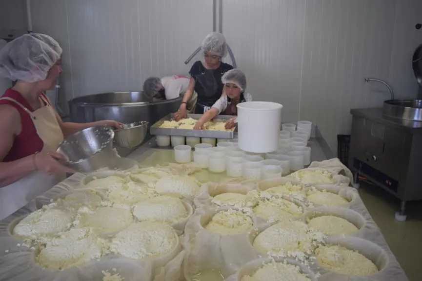 Quelque 50 000 litres de lait sont transformés en tommes au lait cru, avec une valorisation proche d’un euro par litre de lait. Environ dix litres de