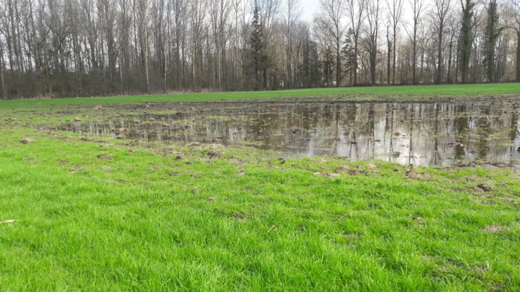 Une prairie cernée par des fossés, le long desquels il y a d'anciens bourrelets de curage : il faut permettre à l'eau de s'évacuer ! © B. Osson
