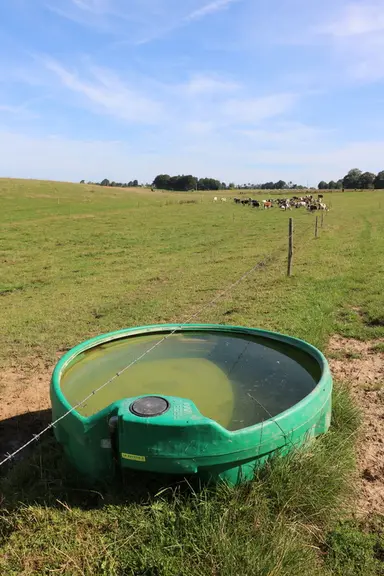 Six abreuvoirs de 1 000 litres ont été achetés. © E. Bignon