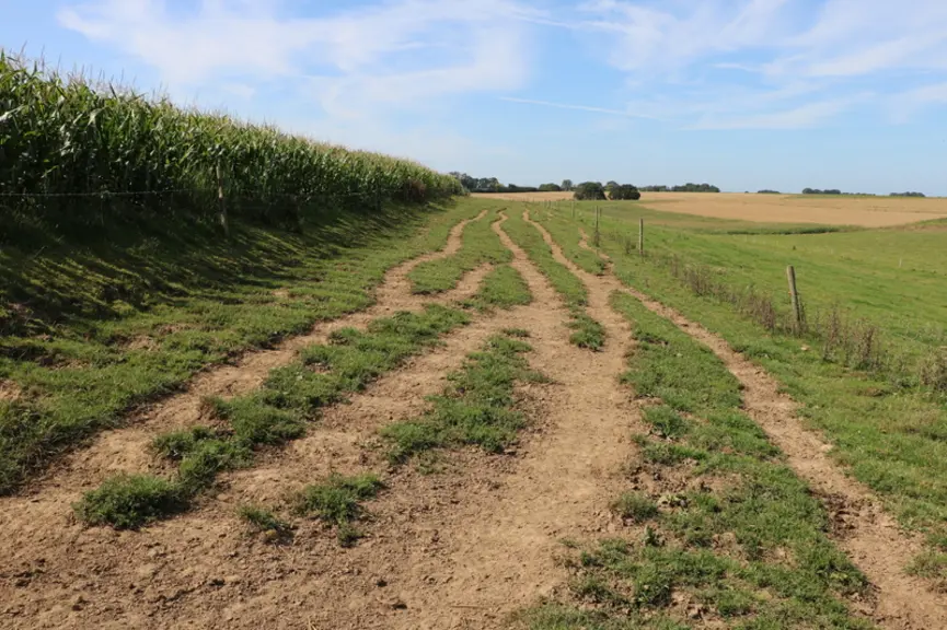 Pour desservir les différents paddocks, les éleveurs ont simplement créé des chemins en terre battue, larges de 10 mètres en haut des pentes. Bien qu’ils ne soient pas empierrés, il n’y a pas de boue. Ils sont suffisamment larges pour que le piétinement reste correct.   © E. Bignon