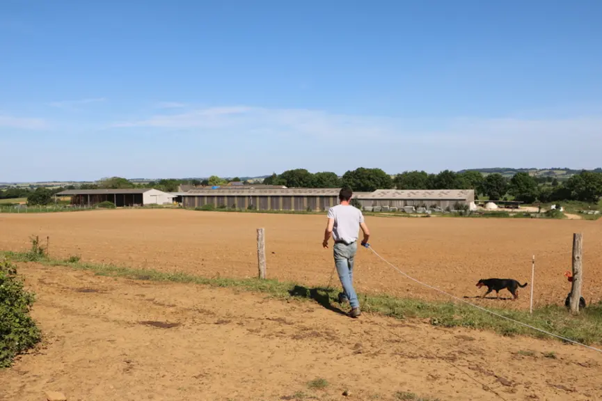 800 mètres de chemin ont été aménagés avec un sable grossier avec des gravillons arrondis qui ne blessent pas les pattes des vaches.  © A. Conté