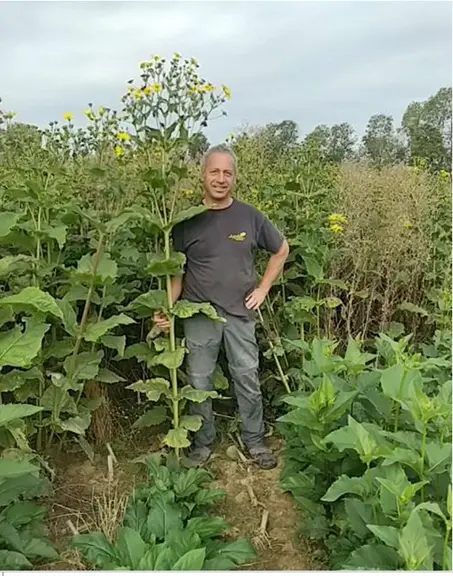 Jean-Luc Bernard. « La première année, ça fait un peu peur parce qu’on ne voit pas grand-chose dans les champs après l’ensilage du maïs. » © DR