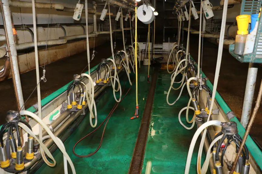 La salle de traite, une 2x6 en épi avec décrochage, date de 2010. « On trait à deux, mais l’un d’entre nous s’occupe en parallèle des veaux et de l’alimentation des vaches. » © E. Bignon