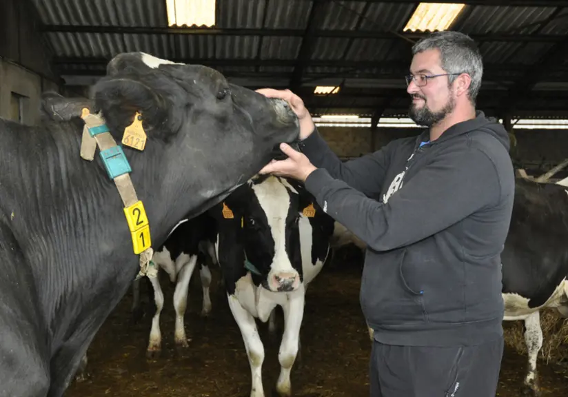 « Si nous passions en bio, nous ne garderions pas des Prim’Holstein, surtout vis-à-vis des taux », prévoit Anthony Balard. © B. Griffoul