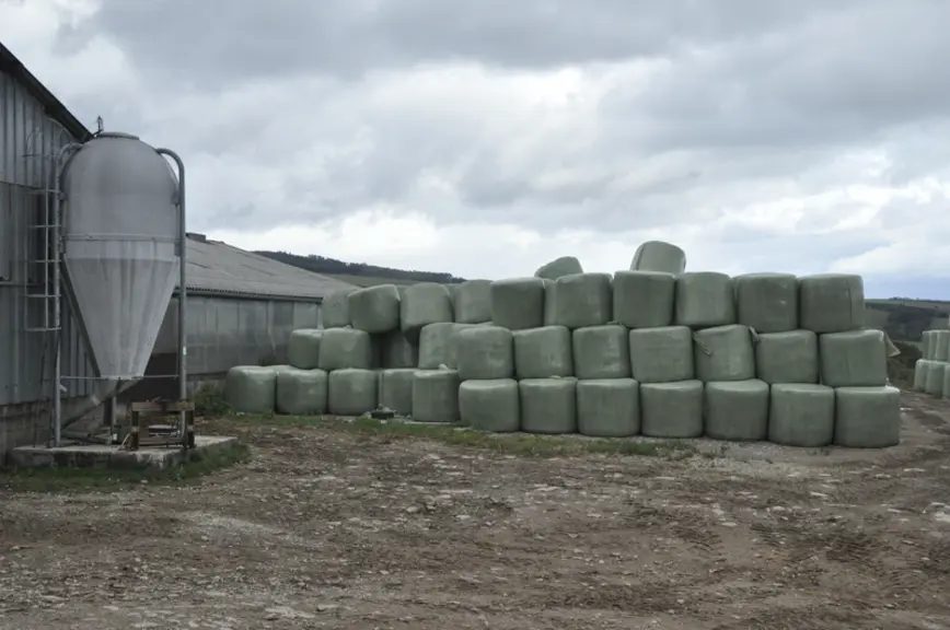 Le Gaec réalise 900 balles d’enrubanné par an, ce qui nécessite 45 rouleaux de plastique et interroge le jeune éleveur sur l’avenir de cette technique de récolte. © B. Griffoul
