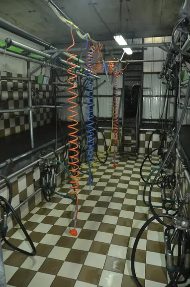 Les automates de désinfection en salle de traite (manchons, trempage, dermatite) apportent du confort de travail. La traite dure 1 h 30 avec un équipement 2 x 5. © B. Griffoul