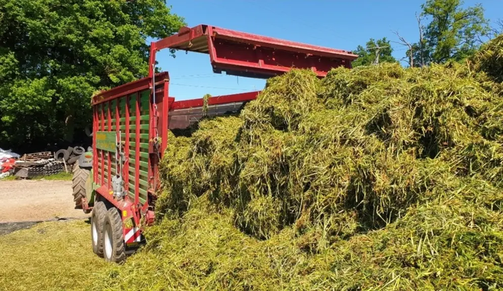 Pendant que l’autochargeuse récolte l’herbe, l’éleveur confectionne et tasse le silo. © C. Landes