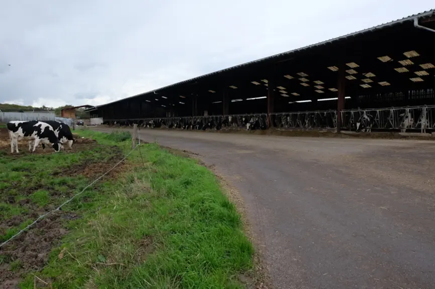 La stabulation des vaches se situe à l'entrée du site. © C. Reibel