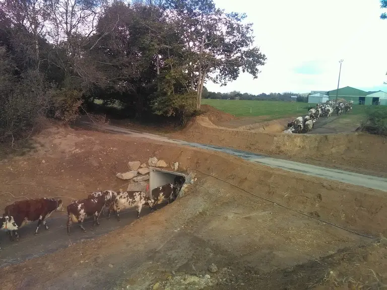 Le boviduc fait 12 mètres de long. © E. Bignon