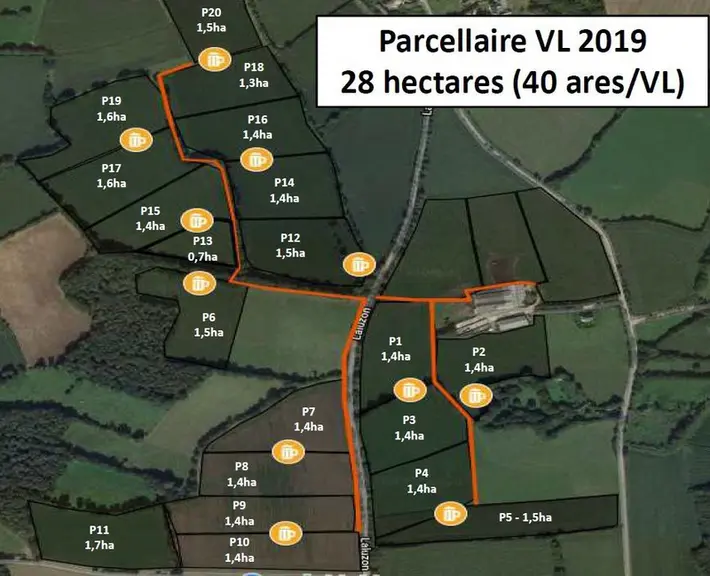 Potentiellement, 55 hectares sont accessibles. Les vaches pâturent sur 23 paddocks de 1,40 ha pour deux jours. © DR