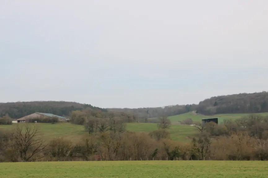 En zone époisses, les printemps ne sont pas beaucoup plus précoces qu'il y a vingt ans, mais la sécheresse estivale arrive bien plus tôt.  © C. Pruilh