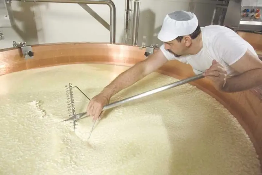 Le reblochon, c’est 16 600 tonnes, avec un prix du lait livré à 550 €/1 000 l. Le fromage est emballé à 12 jours et commercialisé à 18 jours.  © SIR