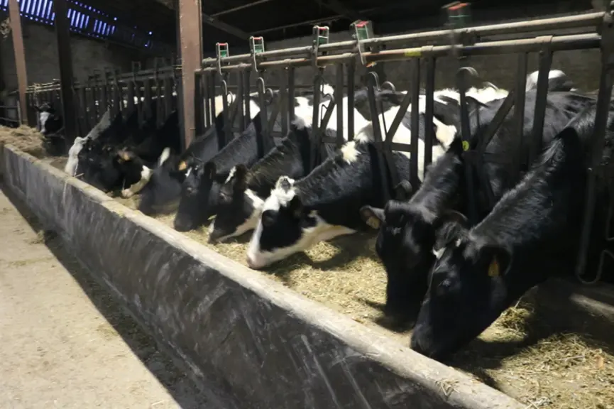 Pour augmenter significativement le produit lait, les éleveurs mettent l’accent sur le potentiel et le suivi du troupeau. Ils investissent dans la gén