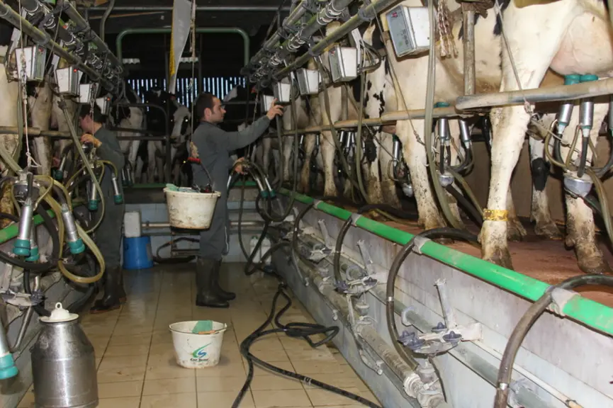 Un des objectifs du projet Cow Forme est d'accompagner les éleveurs laitiers dans leur démarche de recrutement d'un salarié. © F. Mechekour