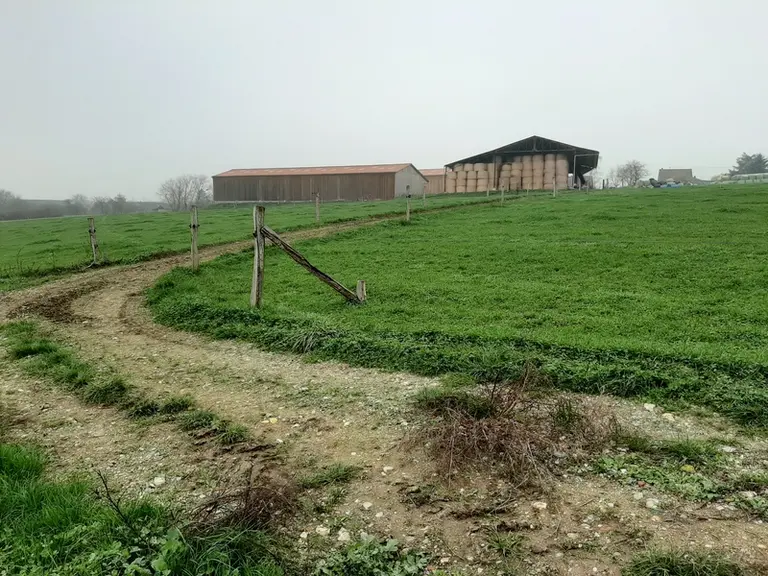 Le chemin de circulation stabilisé donne accès à 21 paddocks aménagés sur 11 hectares.  © C. Reibel