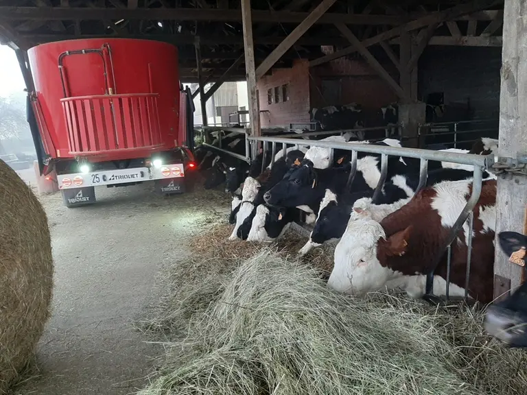 La mélangeuse automotrice distribue une ration de deux jours aux génisses. Gaëtan économise ainsi un quart d'heure de travail un jour sur deux. © Photo C. Reibel