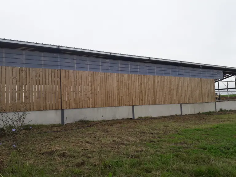 Autre solution pour faire entrer la lumière sur les côtés ou les pignons : les bandeaux translucides placés au-dessus d’un bardage bois. © B. Fagoo