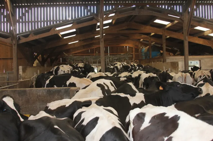 La ventilation de l’aire d’attente est prioritaire en traite conventionnelle.  © F. Mechekour