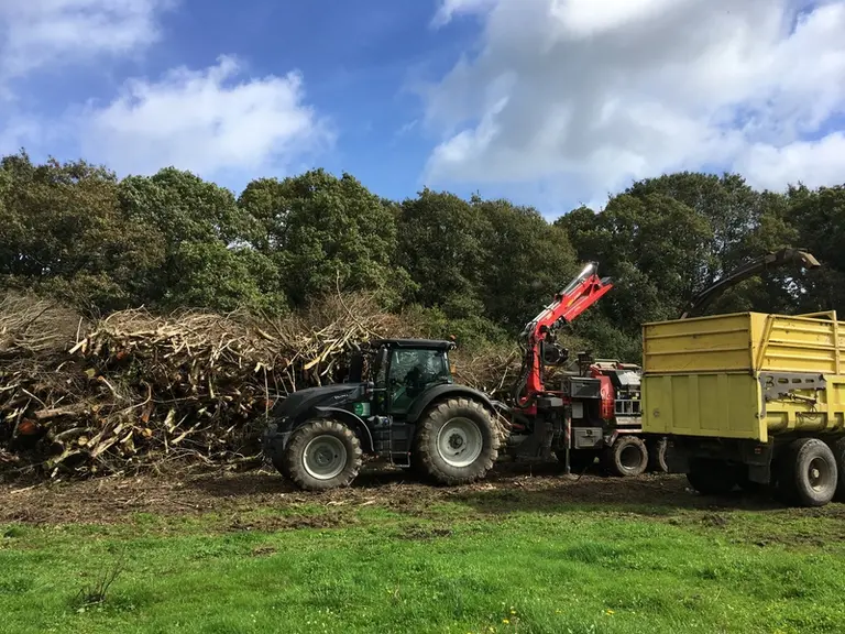 Une bonne partie de la rentabilité dépend de la bonne organisation du chantier de broyage : le bois doit être bien rangé, pas tassé… © SCIC Bocagenèse