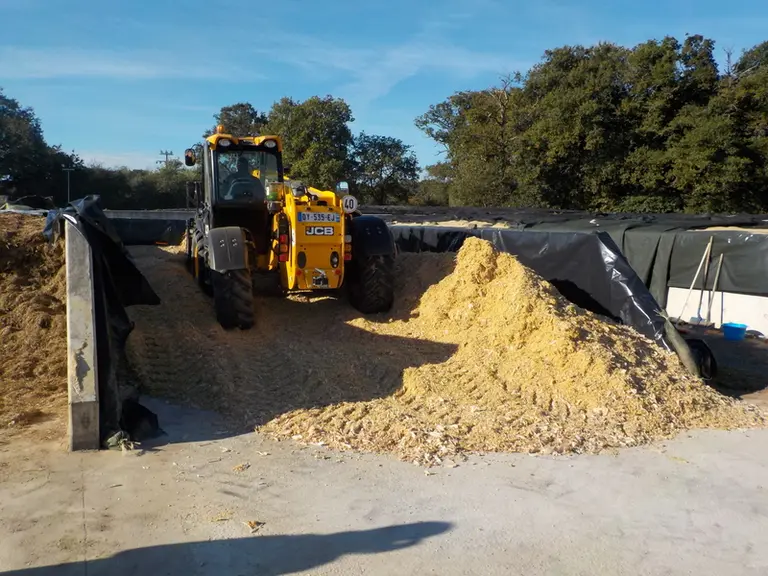 Un tassage énergique du maïs épi est nécessaire pour obtenir par exemple une densité de 380-410 kg MS/m³ pour un silo couloir de 1 m de haut de maïs épi 60 % MS. © A. Uijttewaal