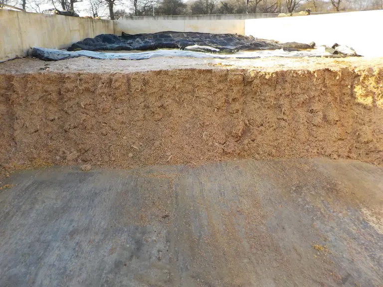 L’injection pendant la récolte de conservateurs tels que l’acide propionique ou des bactéries lactiques hétérofermentaires peut aider à la conservation, mais ne peut contrer l’effet d’une vitesse de désilage insuffisante.  © Arvalis