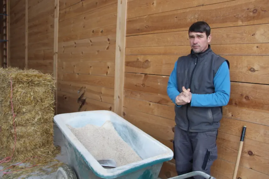 Les méteils récoltés en grain donnent un rendement moyen de 45 q/ha. © V. Bargain
