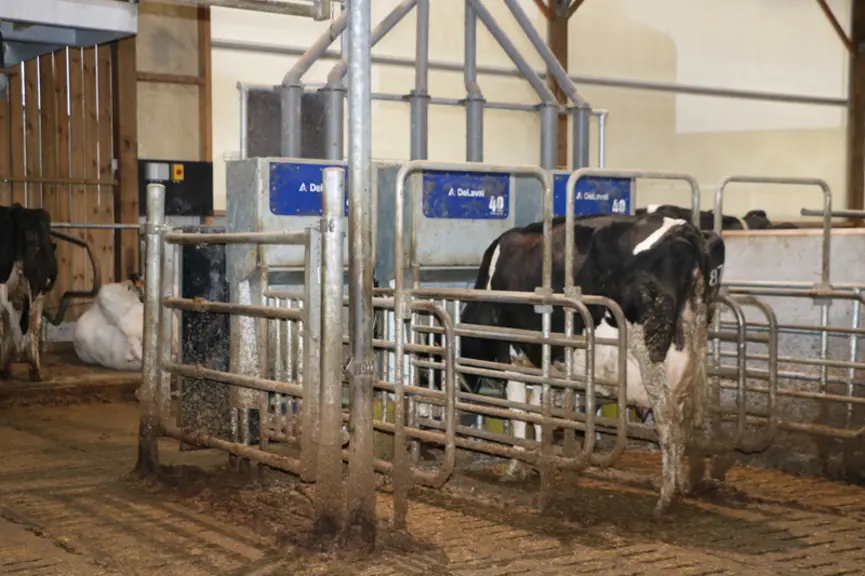 Les tourteaux tannés sont indispensables pour maximiser les performances de production laitière et de TP, souligne Jérôme Larcelet, consultant nutrition chez Seenorest. © C. Pruilh - Archives