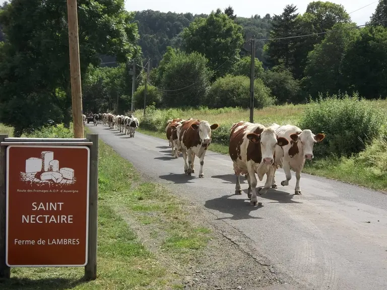 © Ferme de Lambres