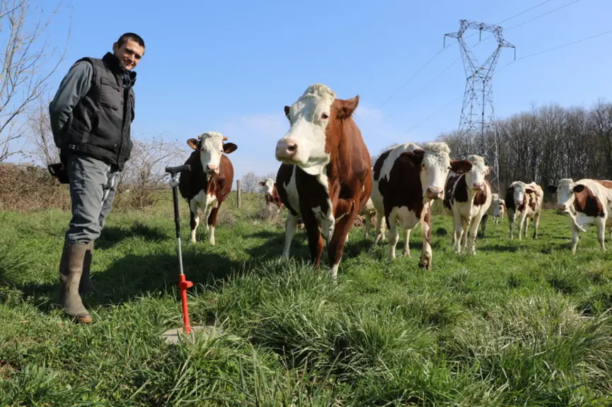 Anthony Charpiot. « Avec Happy Grass, j’ai amélioré la conduite du pâturage en quantité et qualité, mais j’ai surtout gagné en confiance. » © E. Bigno