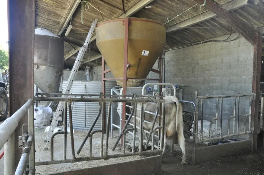 La trémie de la station DAC est alimentée par le broyeur-mélangeur qui prend tourteau et maïs dans deux petites cellules. De part et d’autre du DAC, le cornadis de distribution du foin. © B. Griffoul