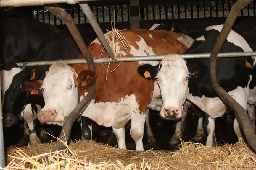 « Notre TPA offre un bon compromis entre cadence et confort »