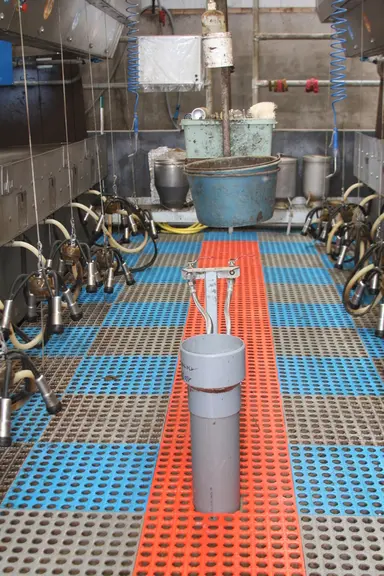 « Notre TPA offre un bon compromis entre cadence et confort »