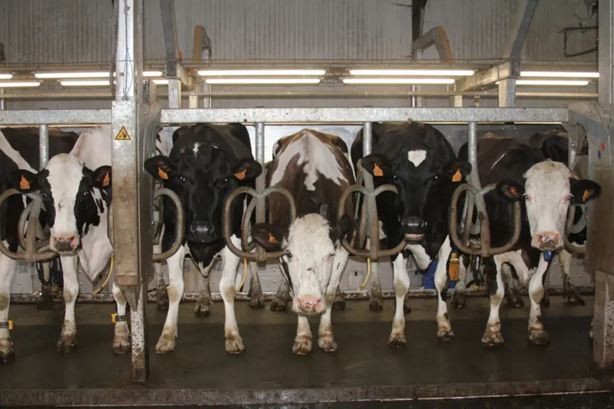 « Notre TPA offre un bon compromis entre cadence et confort »