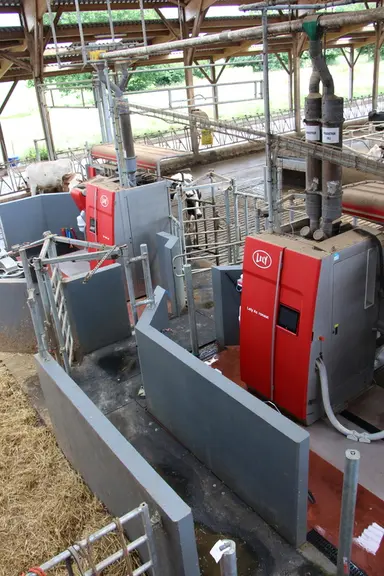 Les portes de tri en sortie de robot donnent accès soit aux logettes, soit à une aire paillée, soit à une aire de soins.