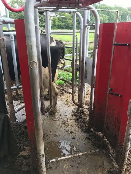 La porte d’accès au pâturage est ouverte de 7 h 30 à 4 h.