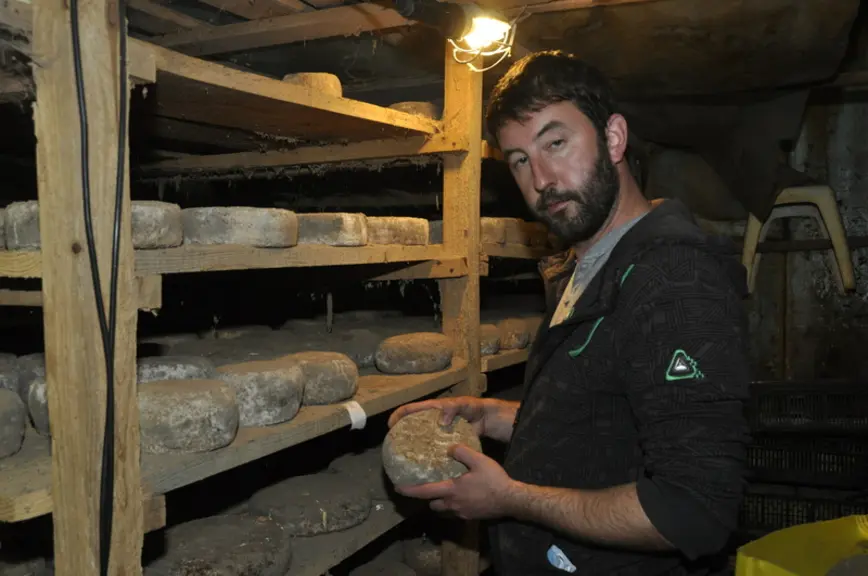 Florian dans la cave d’affinage. Ensemencés avec des artisous, les fromages, de trois formats, sont affinés pendant 2 mois puis vendus sur des marchés et auprès de crémiers.