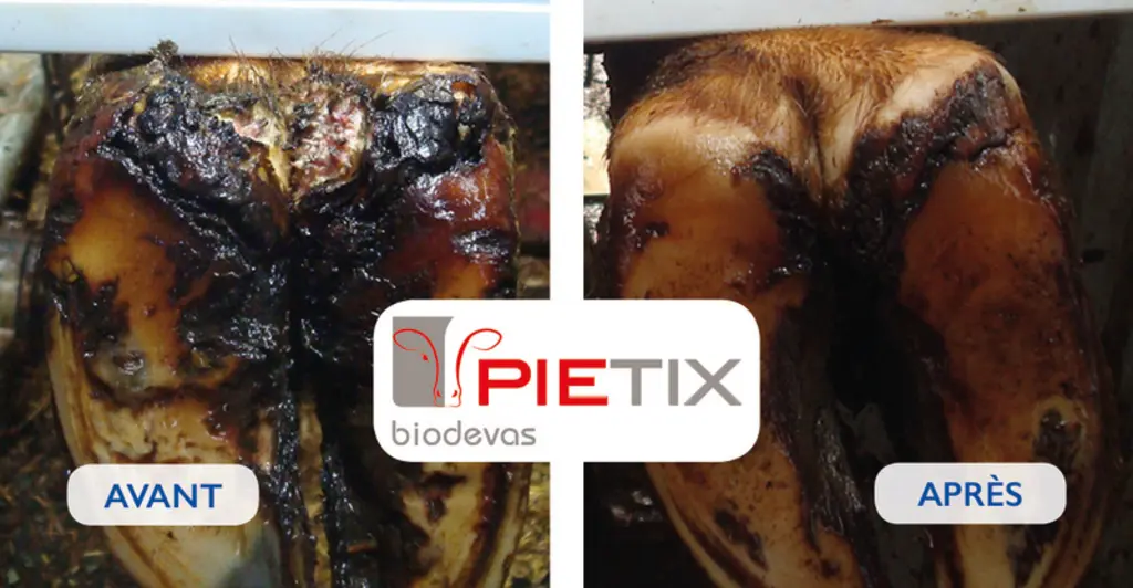 Pietix, de Biodevas. 