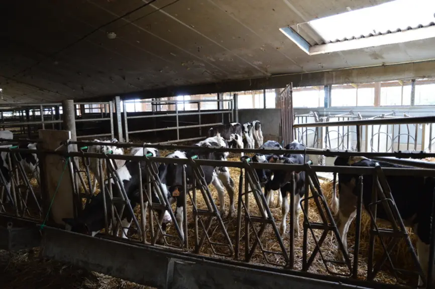 Tous les animaux ont un accès facile à l’alimentation,et la surface de couchage est suffisante.Ce qui limite le stress causé par la compétition.La com