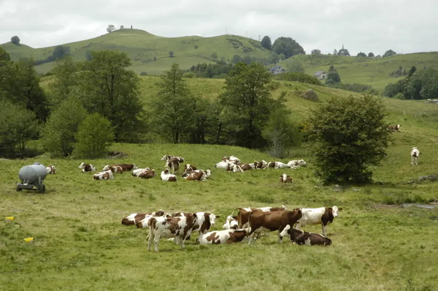 Tout le lait de montagne doit être mieux payé, et s'approcher des valorisations en AOP.