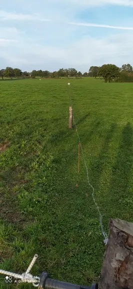 Avec le pâturage tournant dynamique, les éleveurs espèrent gagner deux mois de pâturage par an et libérer ainsi deux hectares de maïs fourrage.