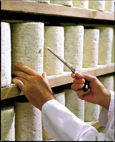 Le marché des pâtes persillées et fourmes est en augmentation selon Sodiaal.