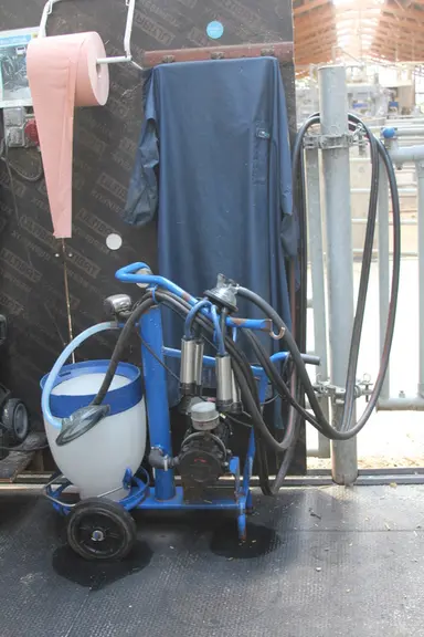 Un pot-trayeur est prêt à l'emploi pour  collecter puis distribuer le colostrum dans de bonnes conditions de travail.