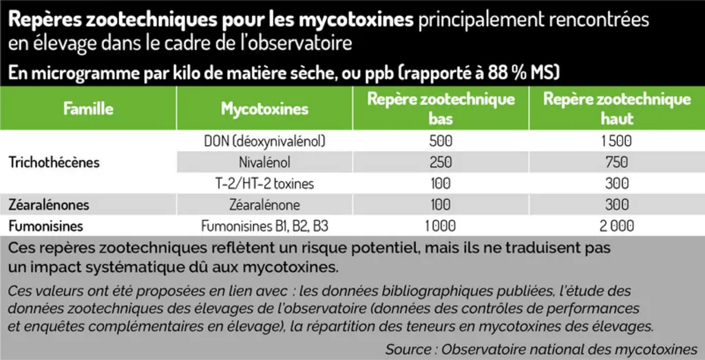 Mycotoxines : quelle réalité sur le terrain ?